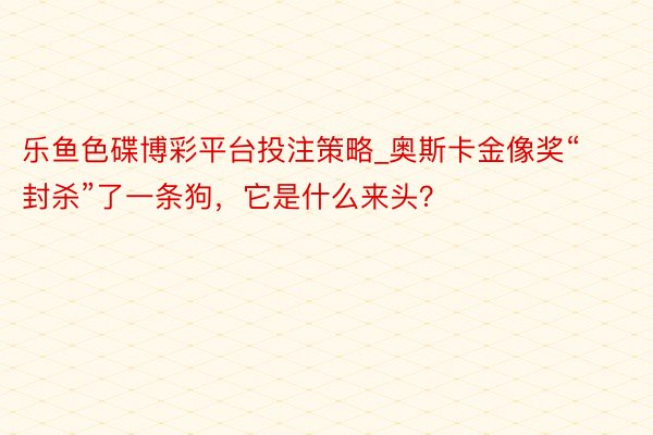 乐鱼色碟博彩平台投注策略_奥斯卡金像奖“封杀”了一条狗，它是什么来头？