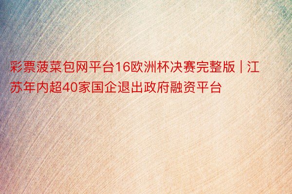 彩票菠菜包网平台16欧洲杯决赛完整版 | 江苏年内超40家国企退出政府融资平台